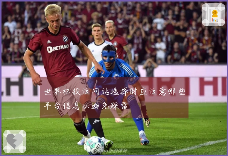 世界杯投注网站选择时应注意哪些平台信息以避免踩雷