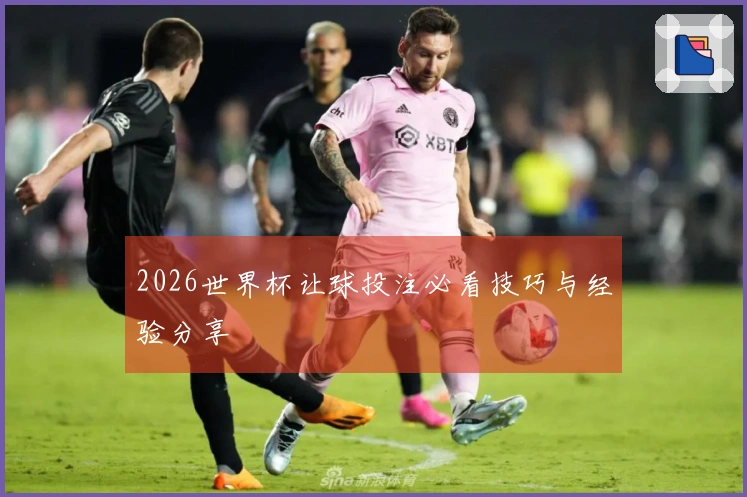 2026世界杯让球投注必看技巧与经验分享